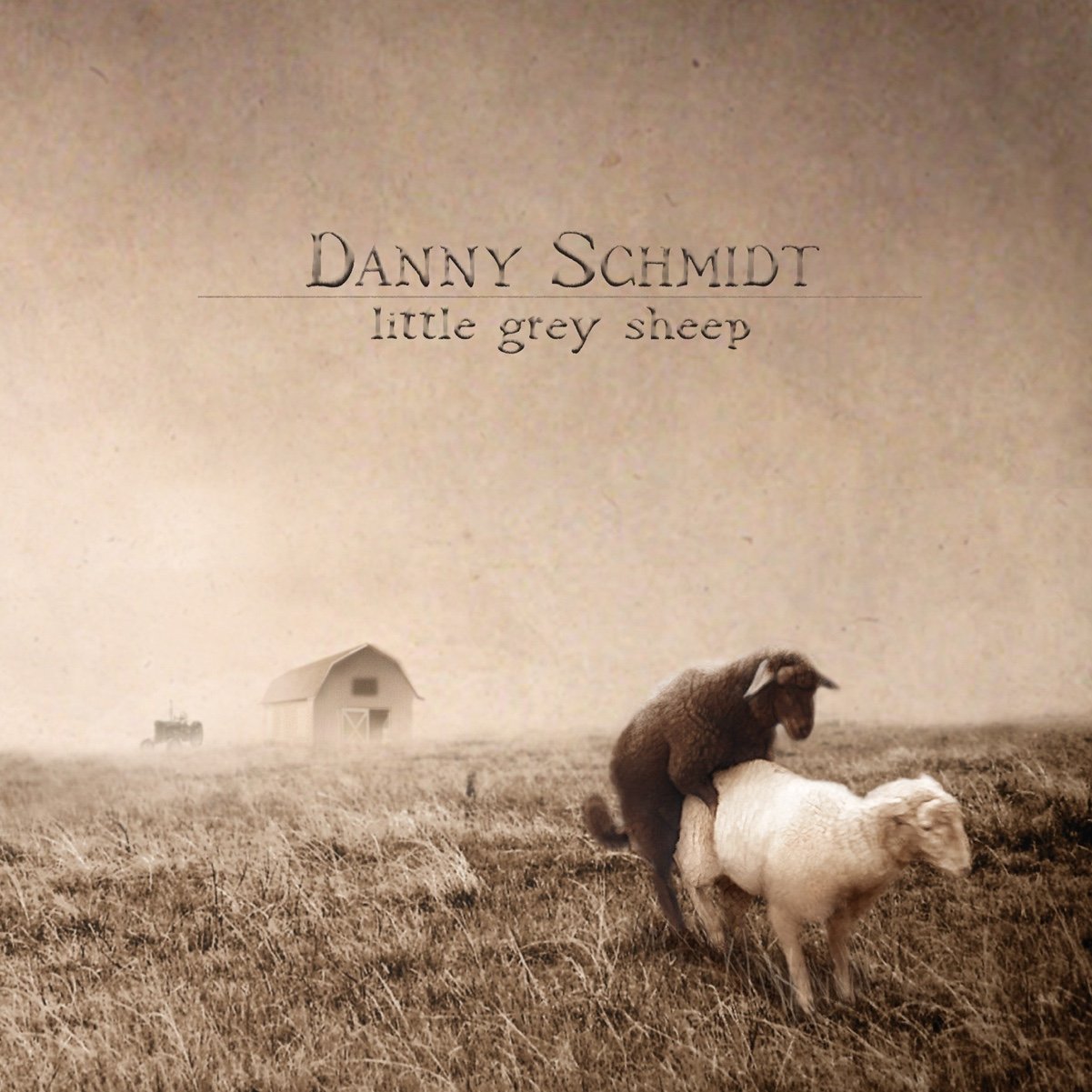 Danny Schmidt - Little Grey Sheep Album Art